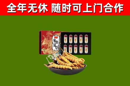 盐边回收冬虫夏草价格