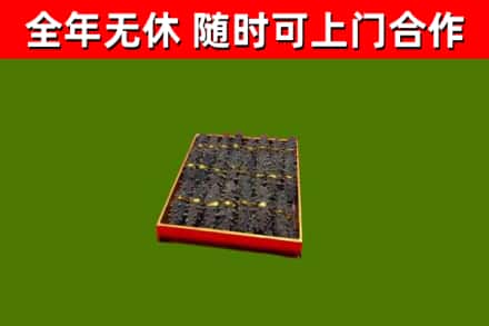 盐边回收海参